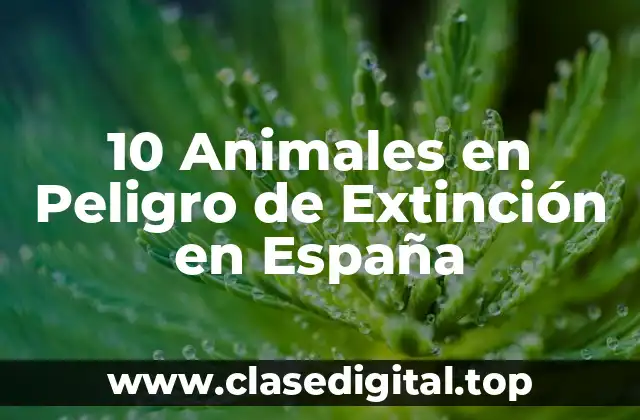 10 Animales en Peligro de Extinción en España
