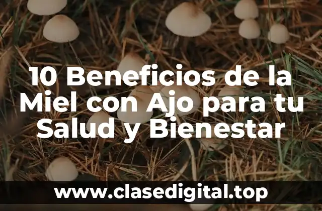 10 Beneficios de la Miel con Ajo para tu Salud y Bienestar