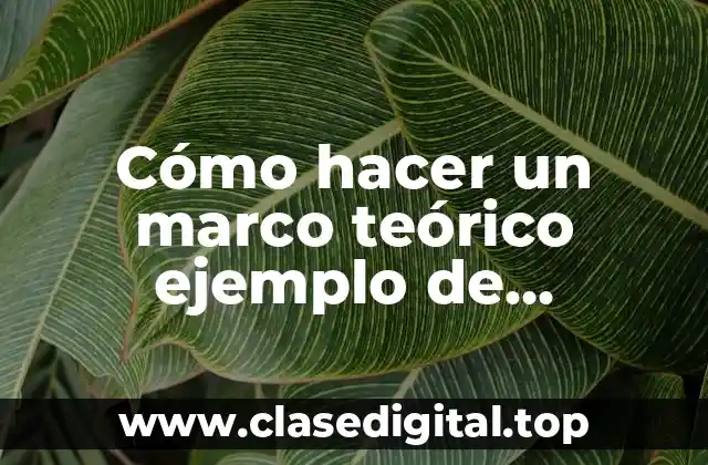 Cómo hacer un marco teórico ejemplo de cooperativas