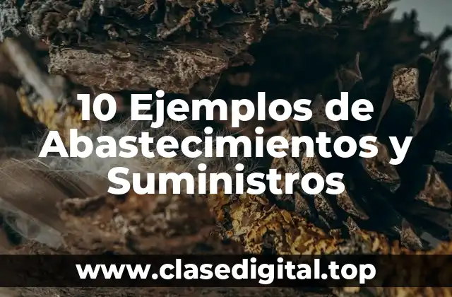 10 Ejemplos de Abastecimientos y Suministros