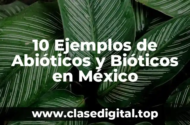 10 Ejemplos de Abióticos y Bióticos en México