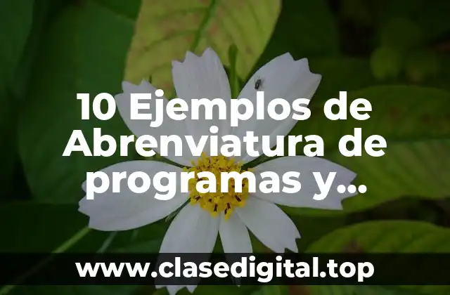 10 Ejemplos de Abrenviatura de programas y proyectos