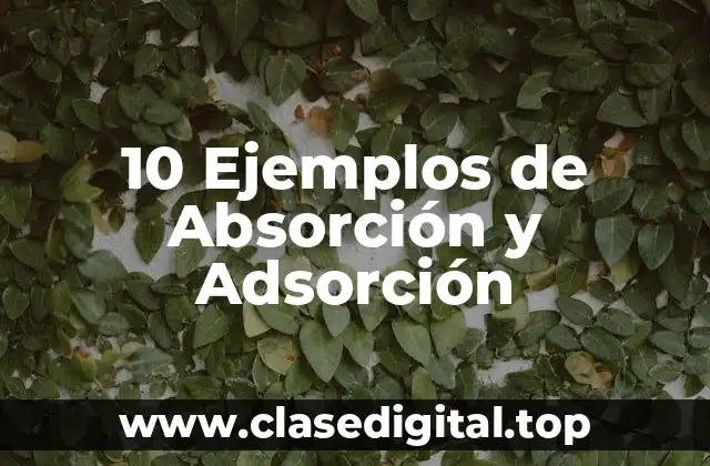 10 Ejemplos de Absorción y Adsorción