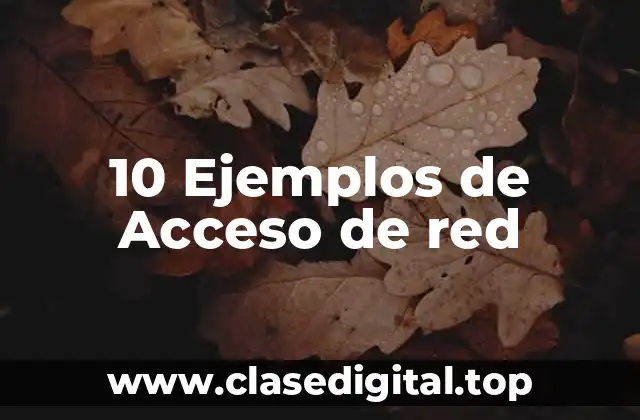 10 Ejemplos de Acceso de red