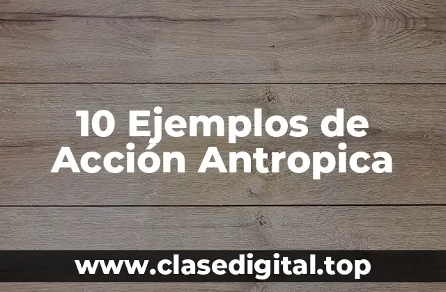 10 Ejemplos de Acción Antropica