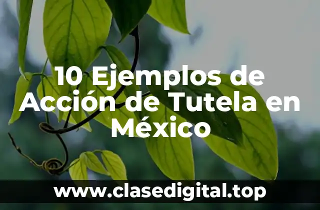 10 Ejemplos de Acción de Tutela en México