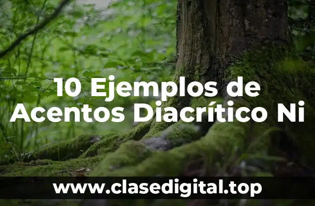 10 Ejemplos de Acentos Diacrítico Ni