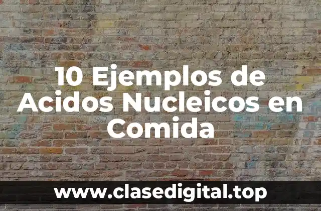 10 Ejemplos de Acidos Nucleicos en Comida