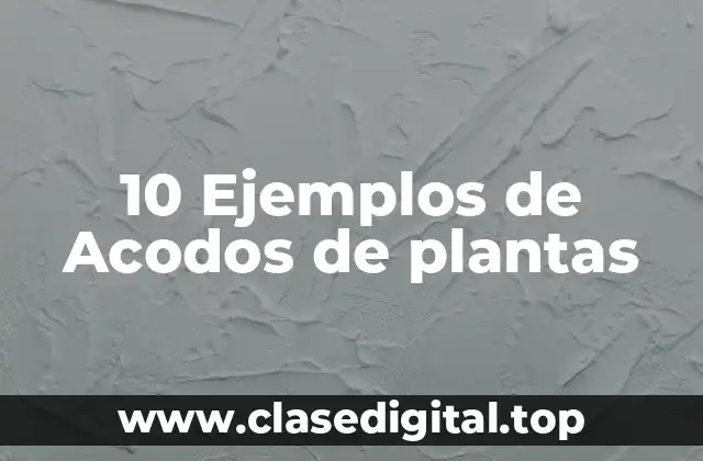 10 Ejemplos de Acodos de plantas