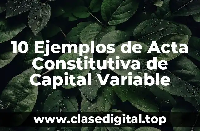 10 Ejemplos de Acta Constitutiva de Capital Variable