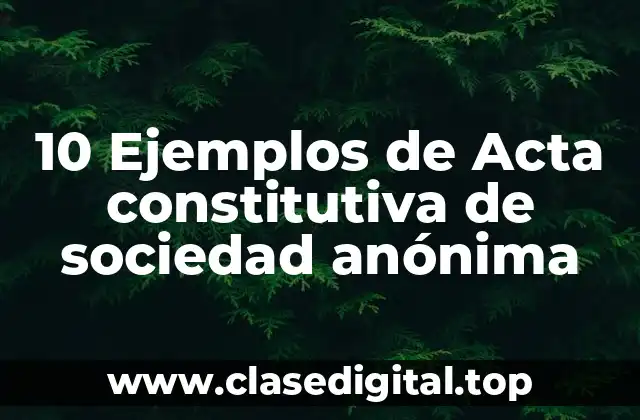 10 Ejemplos de Acta constitutiva de sociedad anónima