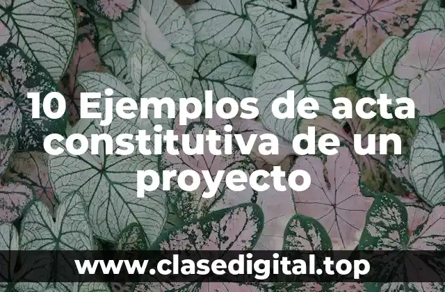 10 Ejemplos de acta constitutiva de un proyecto