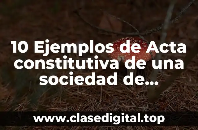 10 Ejemplos de Acta constitutiva de una sociedad de ultramarinos