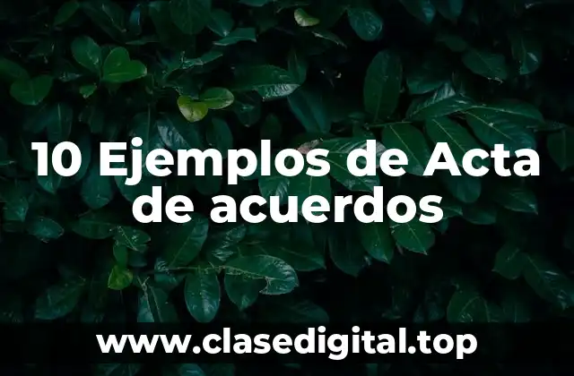 10 Ejemplos de Acta de acuerdos