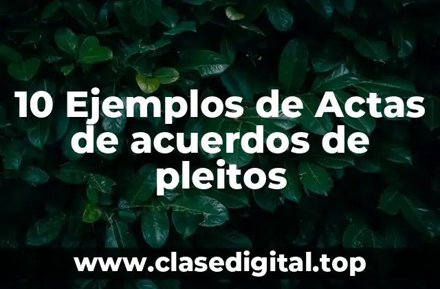 10 Ejemplos de Actas de acuerdos de pleitos