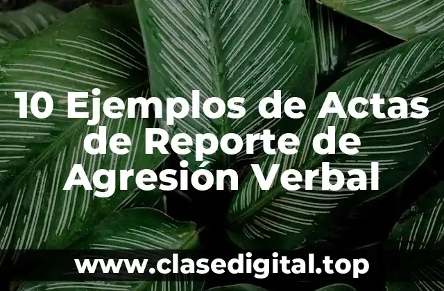 10 Ejemplos de Actas de Reporte de Agresión Verbal