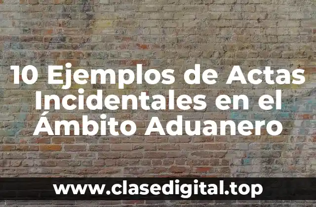 10 Ejemplos de Actas Incidentales en el Ámbito Aduanero