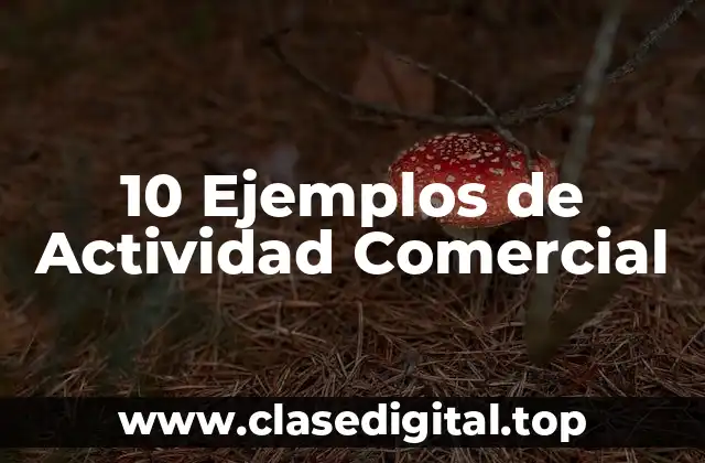 10 Ejemplos de Actividad Comercial