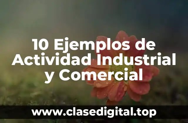 Ejemplos de actividad industrial y comercial