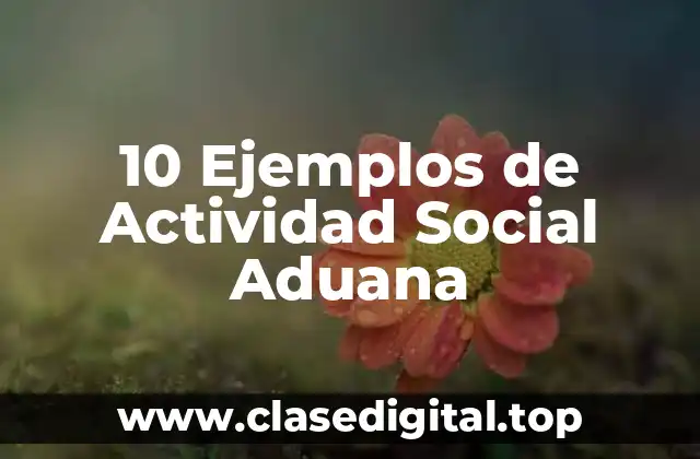 10 Ejemplos de Actividad Social Aduana