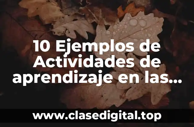 10 Ejemplos de Actividades de aprendizaje en las escuelas