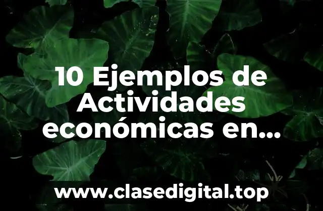 10 Ejemplos de Actividades económicas en Cozumel