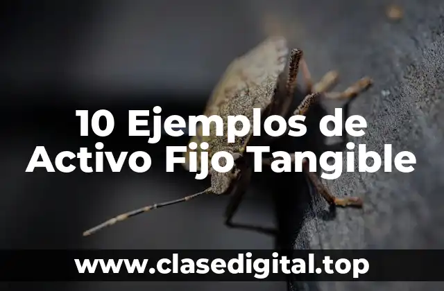 10 Ejemplos de Activo Fijo Tangible
