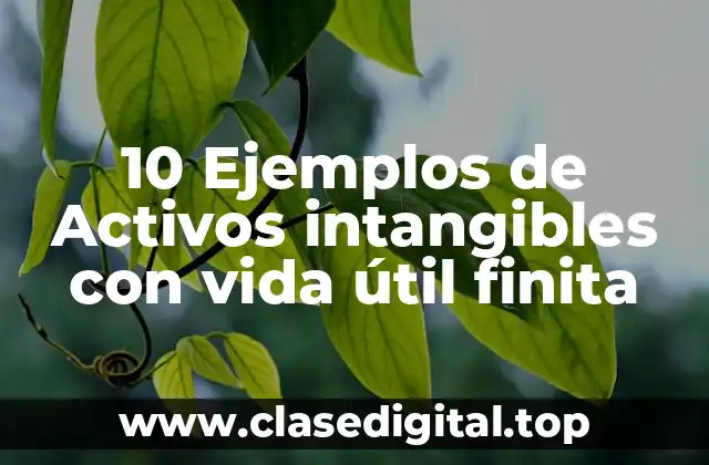 Ejemplos de activos intangibles con vida útil finita
