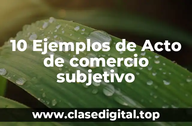 10 Ejemplos de Acto de comercio subjetivo