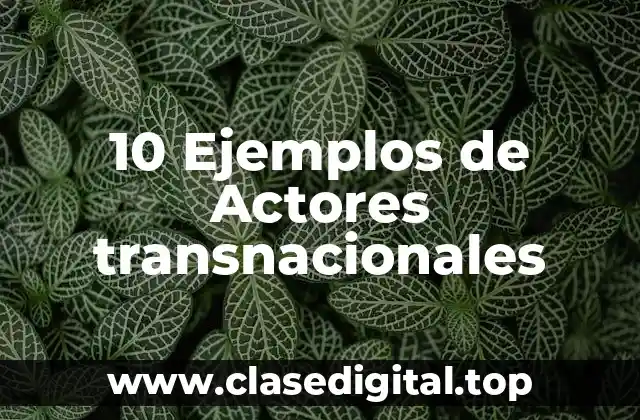 10 Ejemplos de Actores transnacionales