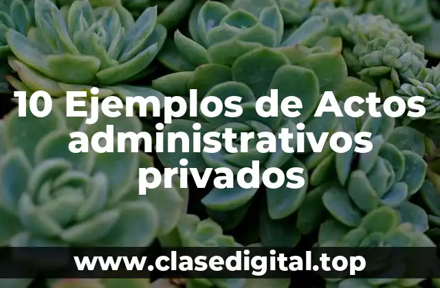 10 Ejemplos de Actos administrativos privados