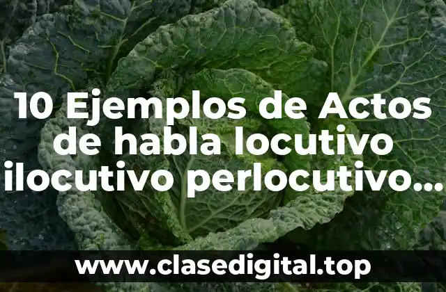 10 Ejemplos de Actos de habla locutivo ilocutivo perlocutivo asertivos