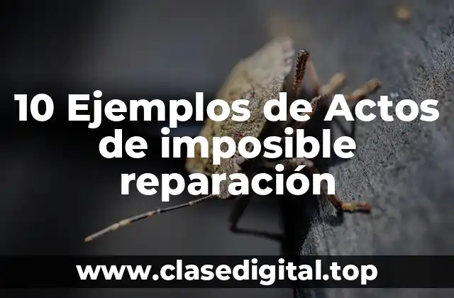 10 Ejemplos de Actos de imposible reparación