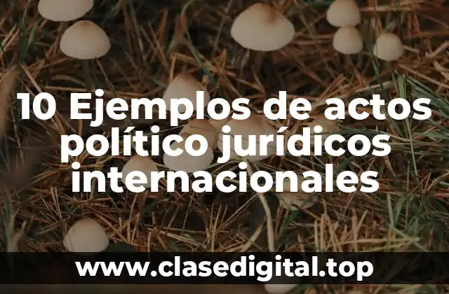 10 Ejemplos de actos político jurídicos internacionales