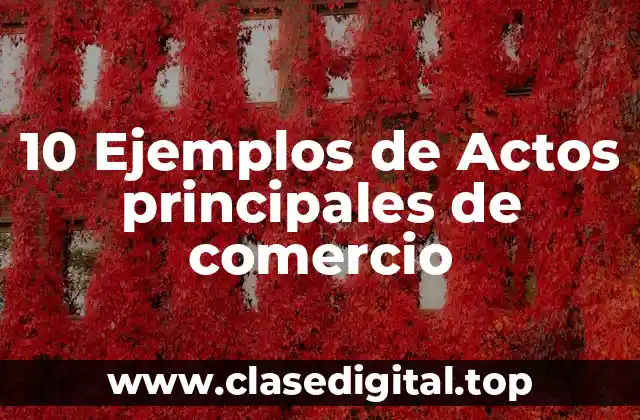 10 Ejemplos de Actos principales de comercio