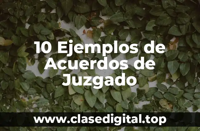 10 Ejemplos de Acuerdos de Juzgado
