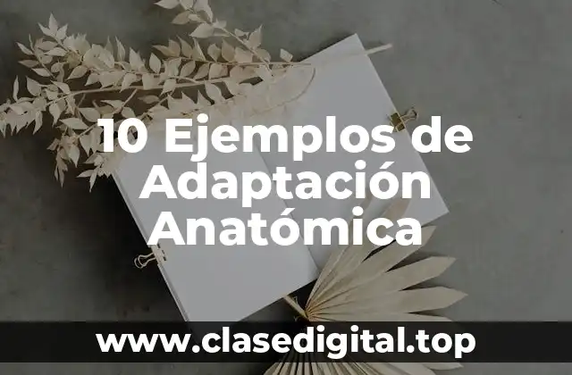 10 Ejemplos de Adaptación Anatómica