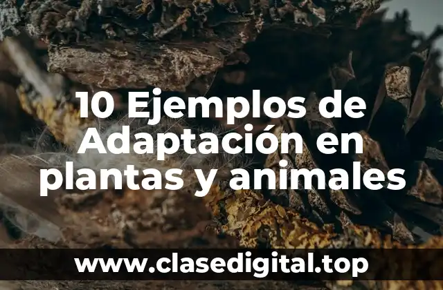 10 Ejemplos de Adaptación en plantas y animales