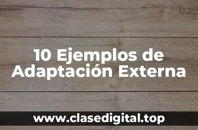 10 Ejemplos de Adaptación Externa