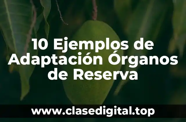 10 Ejemplos de Adaptación Órganos de Reserva