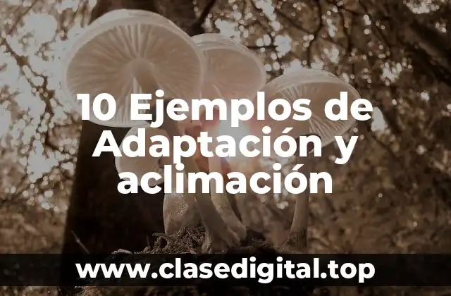 10 Ejemplos de Adaptación y aclimación