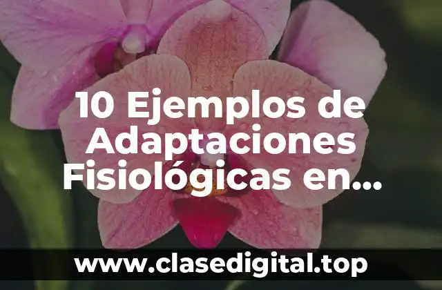 10 Ejemplos de Adaptaciones Fisiológicas en Animales