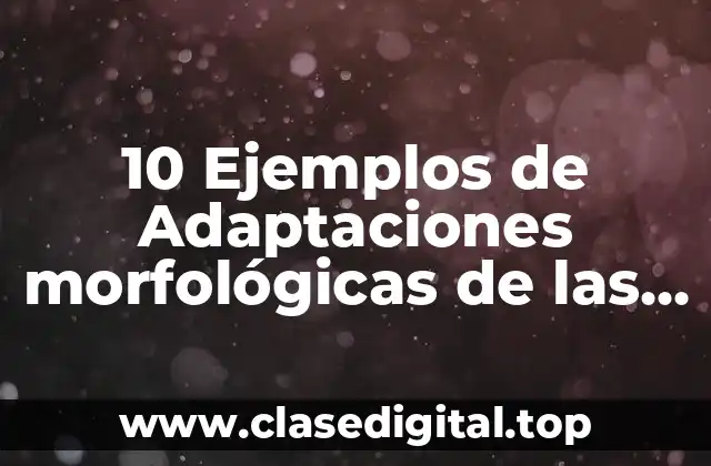 10 Ejemplos de Adaptaciones morfológicas de las plantas