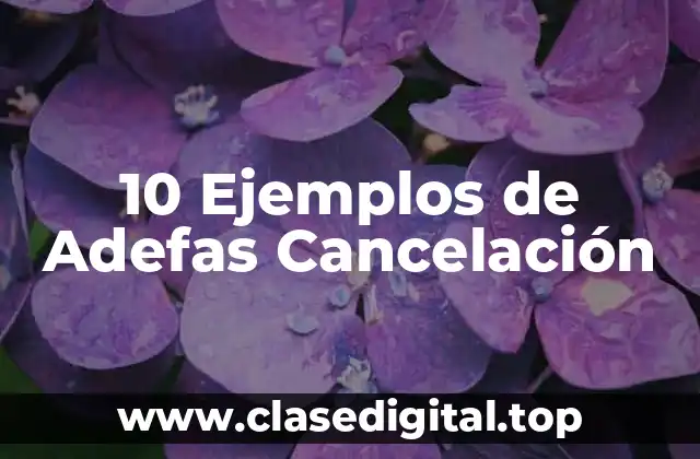 10 Ejemplos de Adefas Cancelación