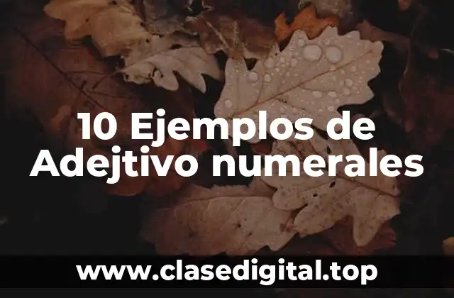 10 Ejemplos de Adejtivo numerales
