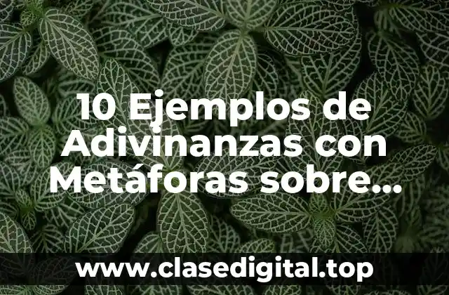 10 Ejemplos de Adivinanzas con Metáforas sobre Casas