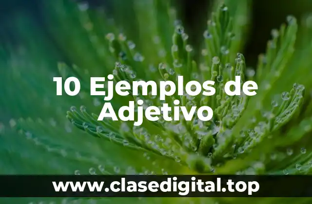 10 Ejemplos de Adjetivo
