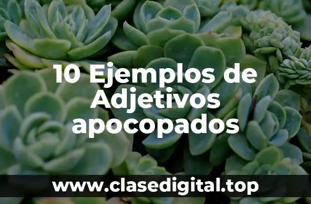 10 Ejemplos de Adjetivos apocopados