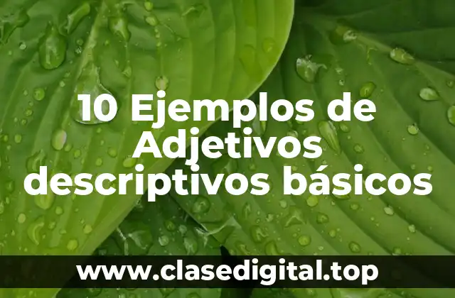 10 Ejemplos de Adjetivos descriptivos básicos