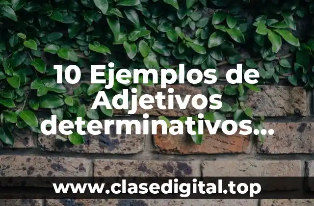 10 Ejemplos de Adjetivos determinativos fraccionarios